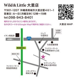 ワニ、大蛇の抱っこ