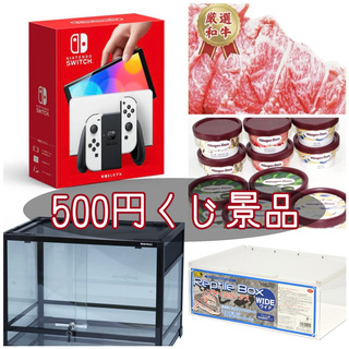 1等Switch・水槽　500円くじ
