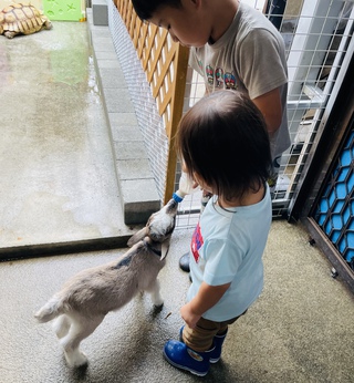 ご来店ありがとうございます。