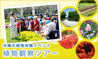 熱帯・亜熱帯都市緑化植物園 2015/09/18 09:36:04