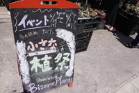 ちいさな植祭、今日が最終日です！ 2017/05/01 16:30:53