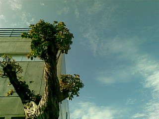 対馬丸記念館と青い空