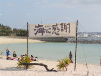 夏やってきたよー