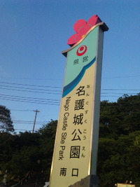 歯が抜けてスタートラインに戻る