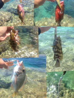 1か月ぶりの釣りは