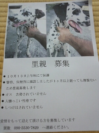 ひゃっほーいヽ(^o^)丿