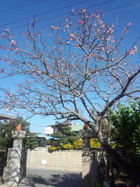 ぽかぽか天気最高す！