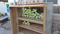 野菜無人販売今年も始まりました。