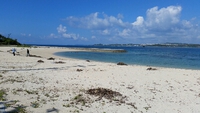 西海岸掃除