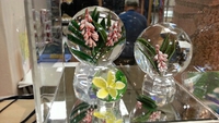 日本橋三越本店さん、沖縄物産展終了致しました。