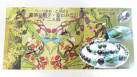 『真境名照子・當山みどり　二人展』