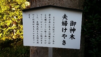 阿佐ヶ谷からおはようございます！11月15日