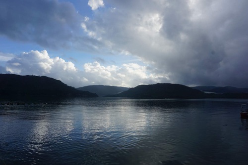 西表島旅行記（５）