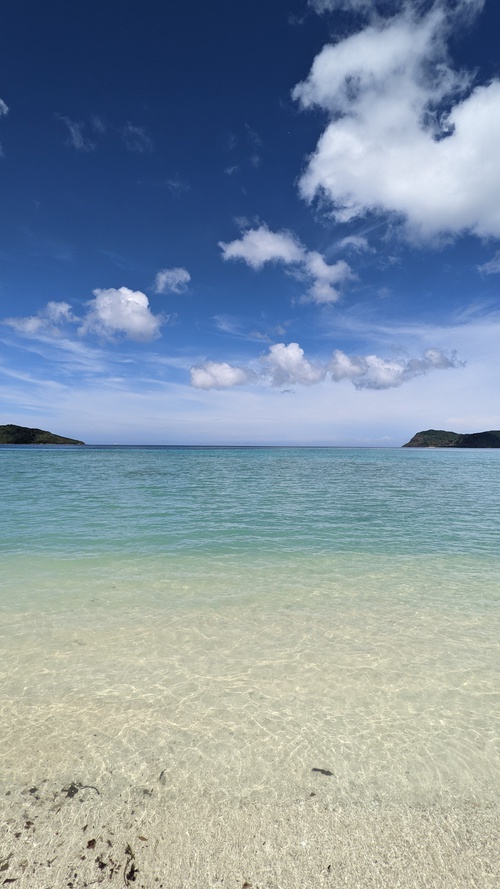西表島旅行記（５）