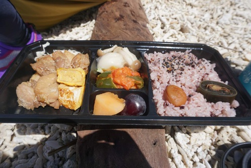 西表島旅行記（５）