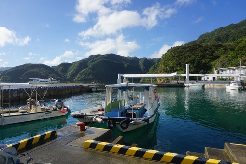 西表島旅行記（５）