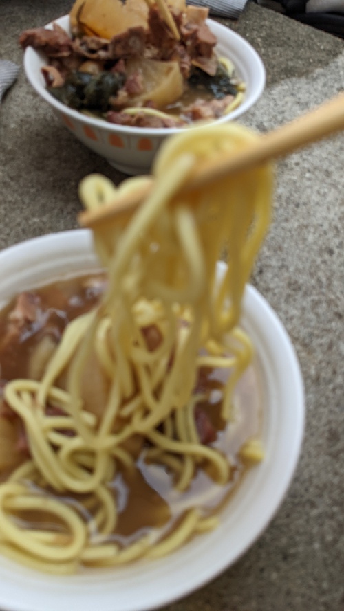 西表島旅行記（3）