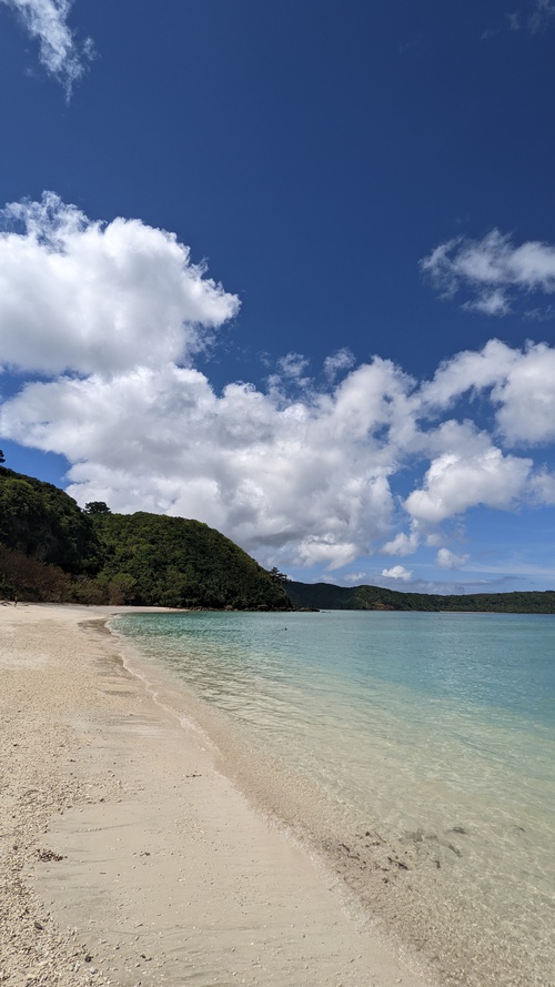 西表島旅行記（５）