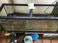 何故　雨 2022/04/15 17:13:28