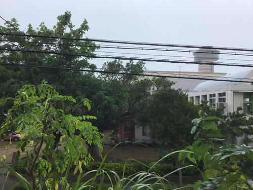まきかの雨