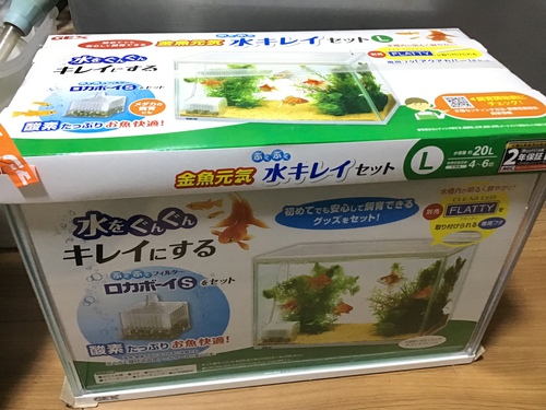 早くねミドボン