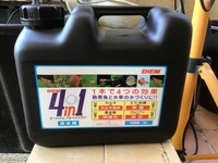 値上がり？ 2021/11/17 18:59:37