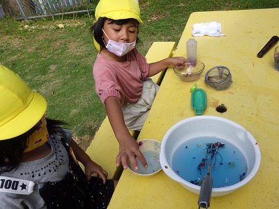 色水あそび 恩納村立 山田幼小学校