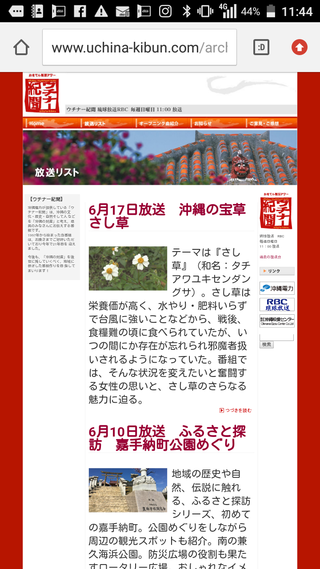 RBCウチナー紀聞6月17日（日）午前１１時から放送『沖縄の宝草 さし草』