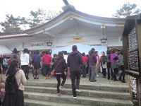 初詣 2014/01/03 19:38:00