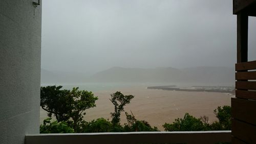 台風ようやく落ち着きました。