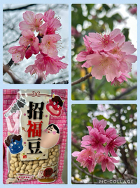 1月末～2月のカウンセリング終えました。ありがとうございました。 2025/02/02 17:08:31
