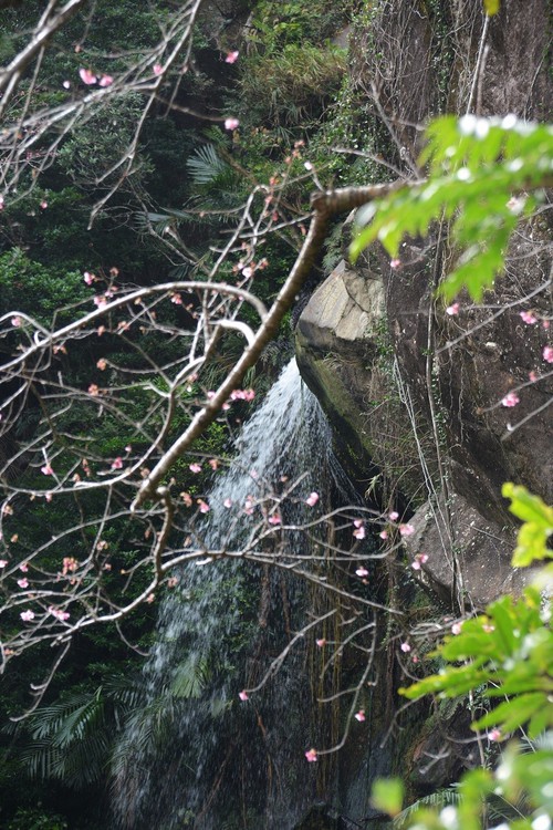 轟の滝 カメラと沖縄を歩く