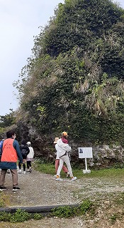 「てだこウォーク」ご参加　ありがとうございました