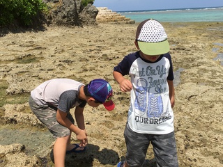 急きょ、行ってきたのだぁ～海まで！！