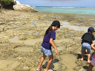 急きょ、行ってきたのだぁ～海まで！！