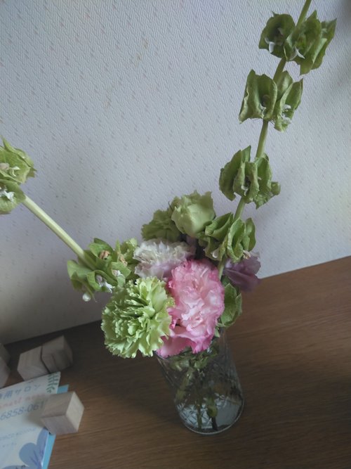 お花達その後