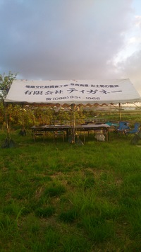 埋蔵金？