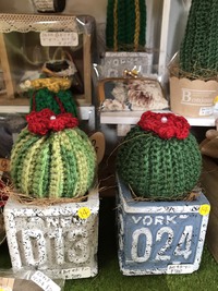 サボさんグッズ入荷してます♫ 2018/01/27 15:11:59