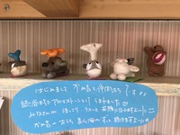 お知らせ(^^♪ 2018/08/04 17:51:25