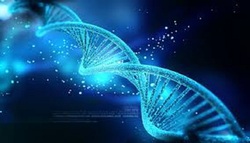 遺伝子に見せられないことを、大人たちがやっている