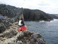 尾長に冷め… 2011/03/12 13:10:26