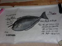 チビライあれ 2010/08/09 23:47:50