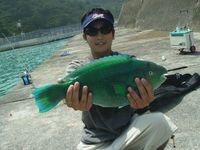 狙う魚