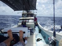 はなぶさで深海へ… 2012/07/26 13:29:48
