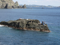 2008初釣り