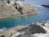 2008初釣り