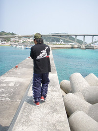 離島遠征