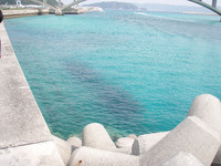 離島遠征