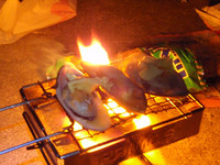 チキン日和