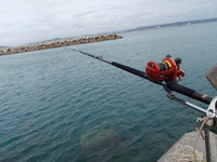 海野→撃沈！